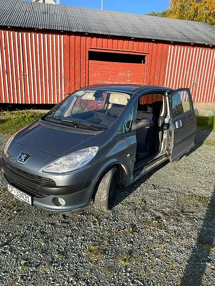 Peugeot 1007 2005 photo 2