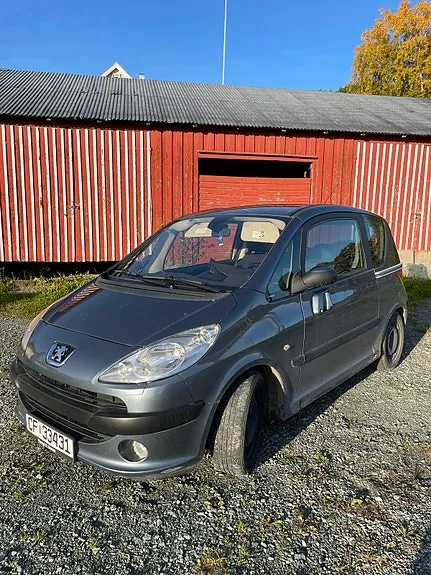 Peugeot 1007 2005 photo 4