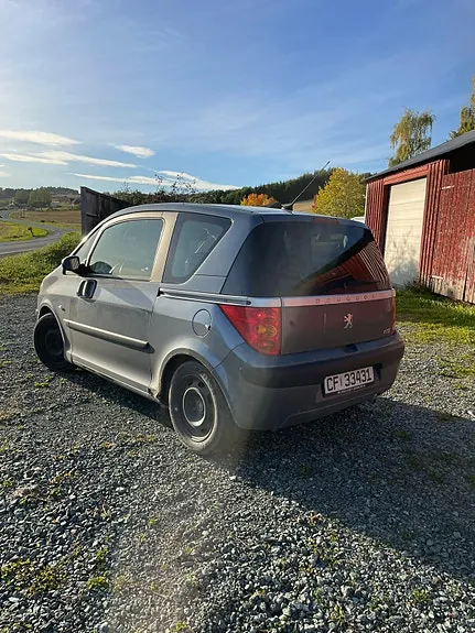 Peugeot 1007 2005 photo 5