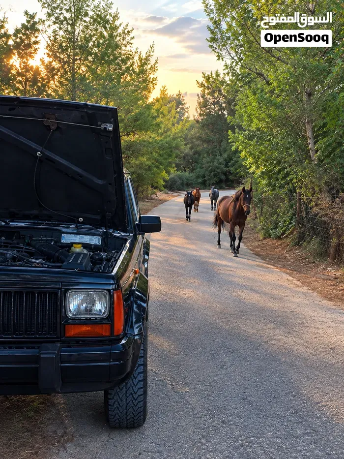 Jeep Cherokee 1997 photo 2