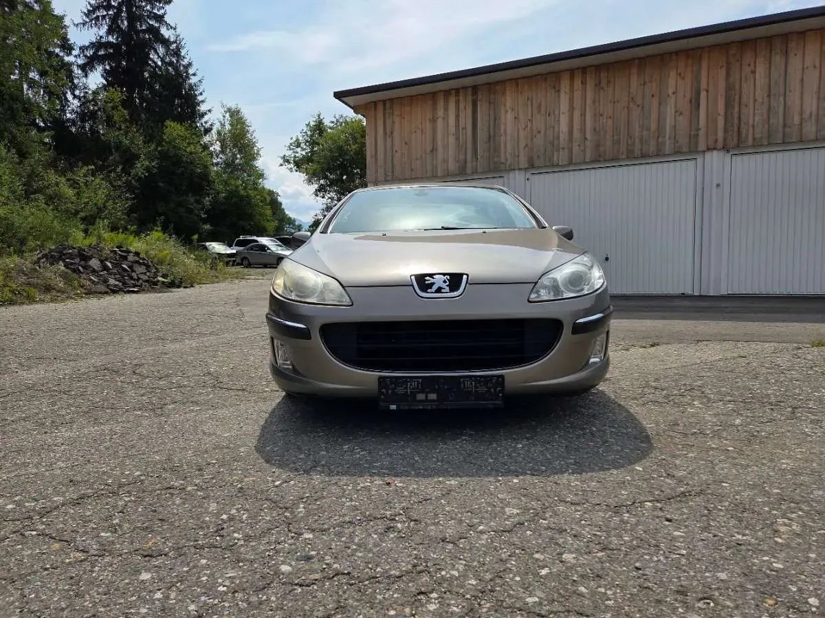 Peugeot 407 2006 photo 2