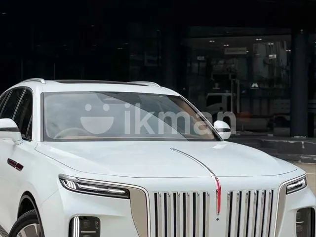 Hongqi E-Hs9