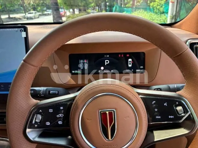 Hongqi E-Hs9 2026 photo 2