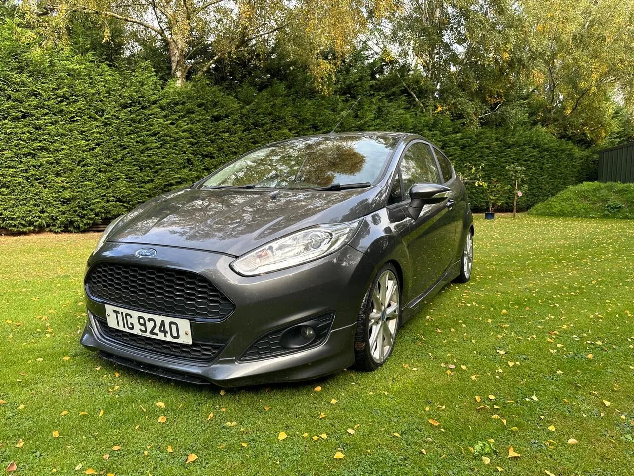 Ford Fiesta 2016 photo 3