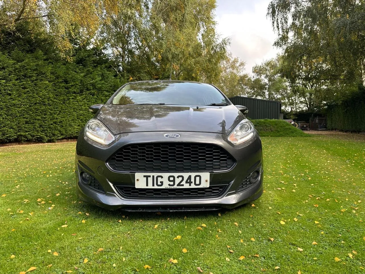 Ford Fiesta 2016 photo 2