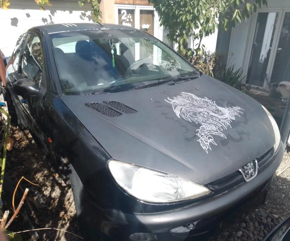 Peugeot 206