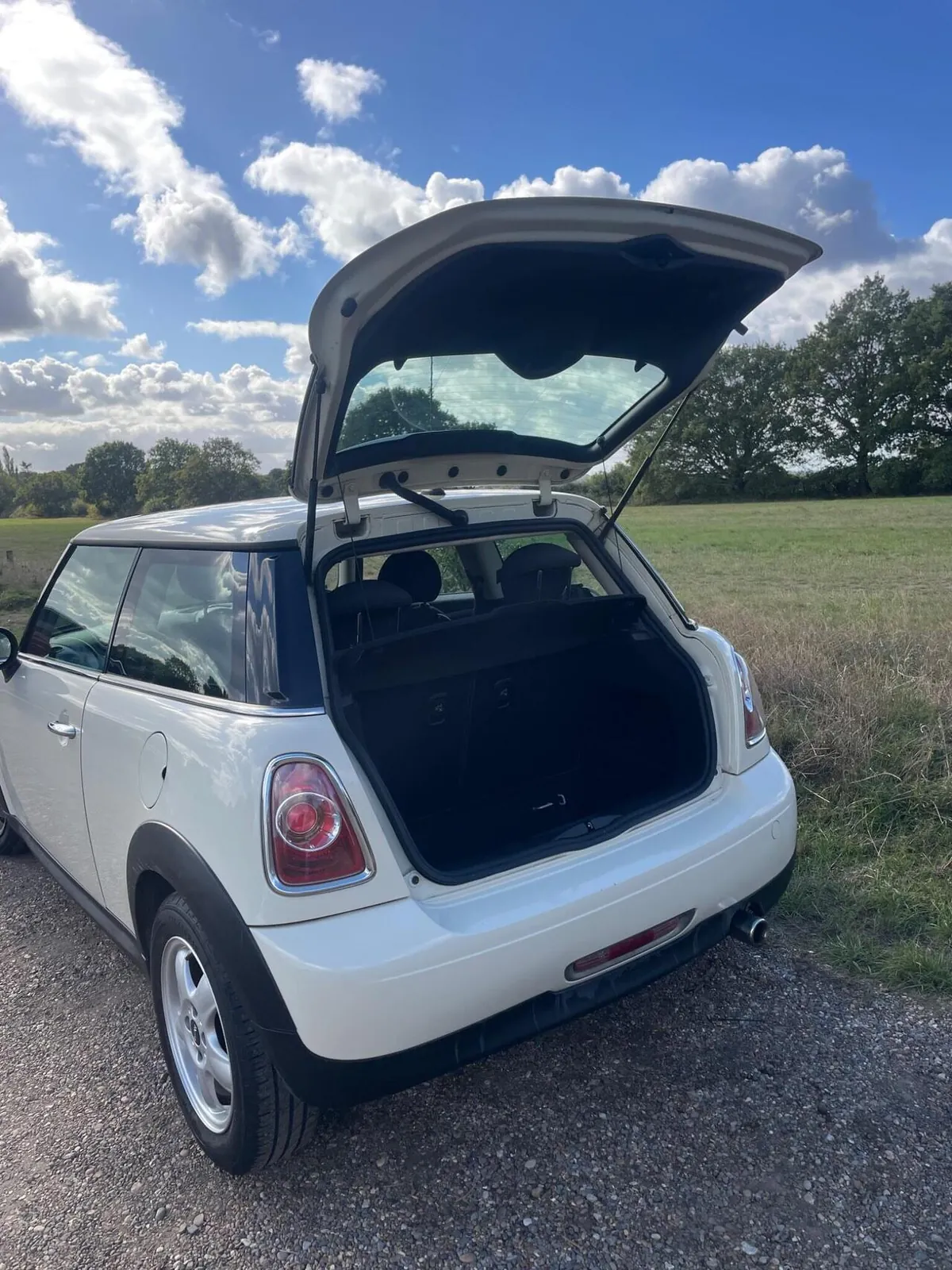 Mini Hatch 2010 photo 2