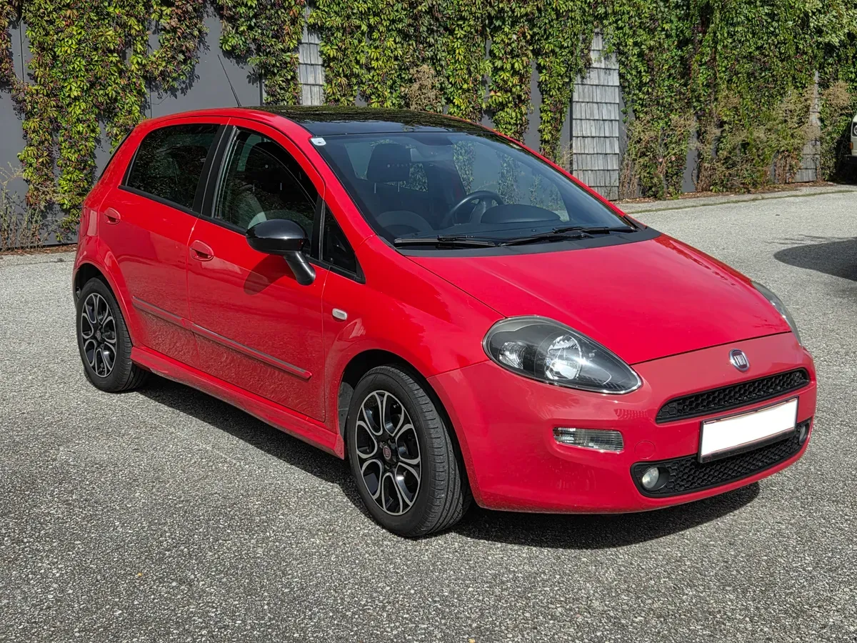 Fiat Punto 2013 photo 2