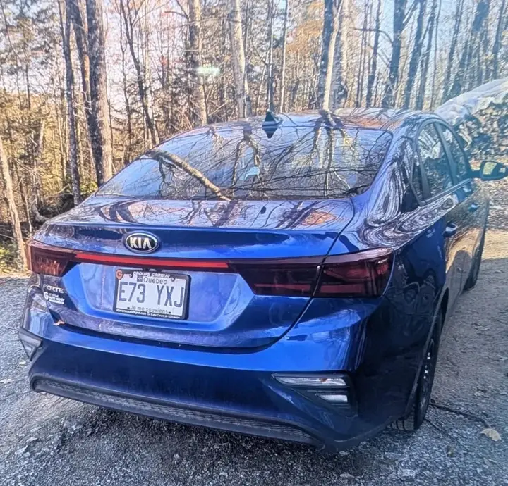 Kia Forte 2020 photo 2