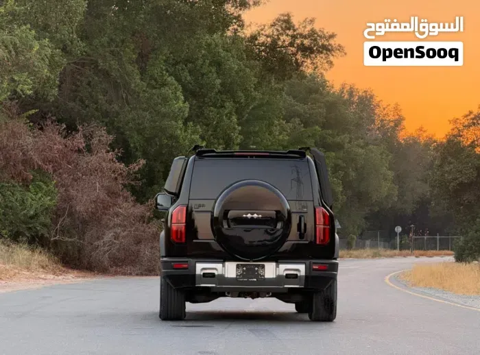BYD Leopard 5 2024 photo 4