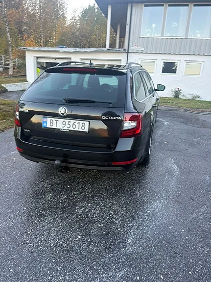 Skoda Octavia 2019 photo 4