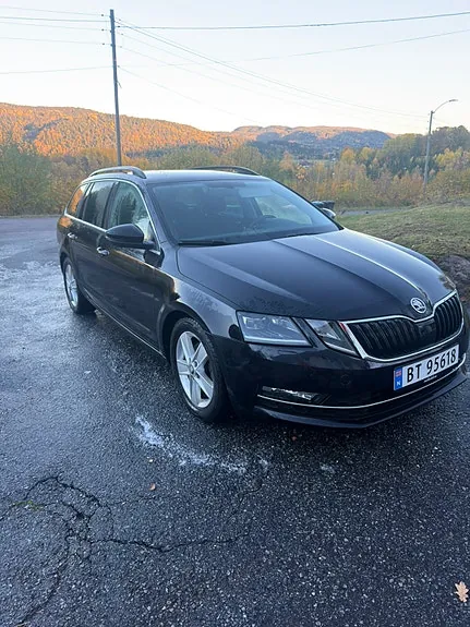 Skoda Octavia 2019 photo 2