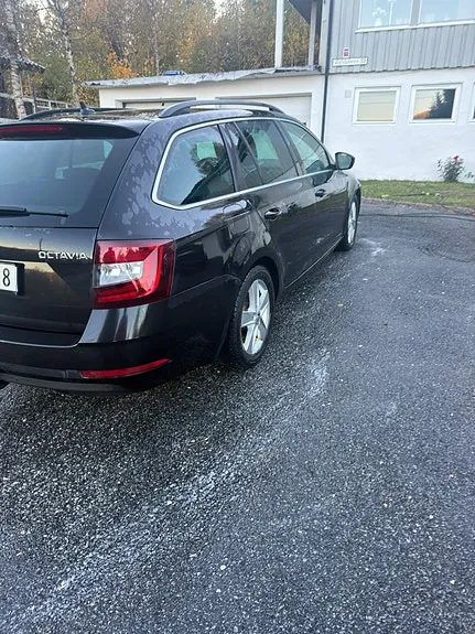 Skoda Octavia 2019 photo 3
