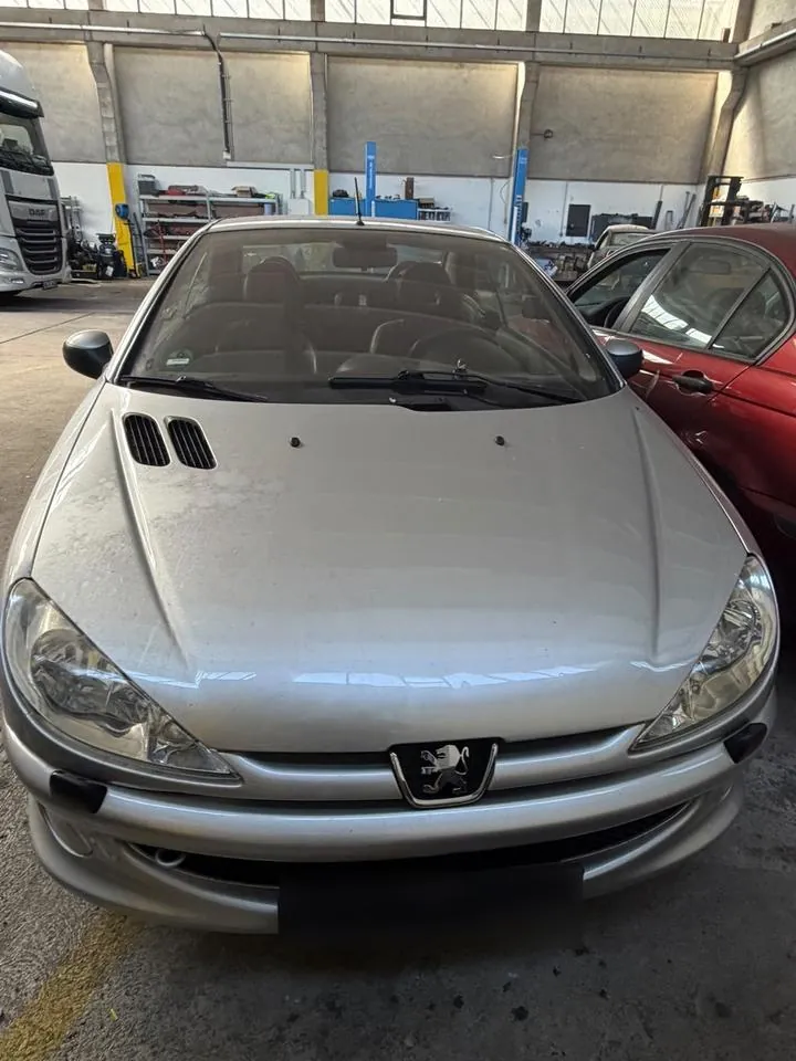 Peugeot 206 Cc