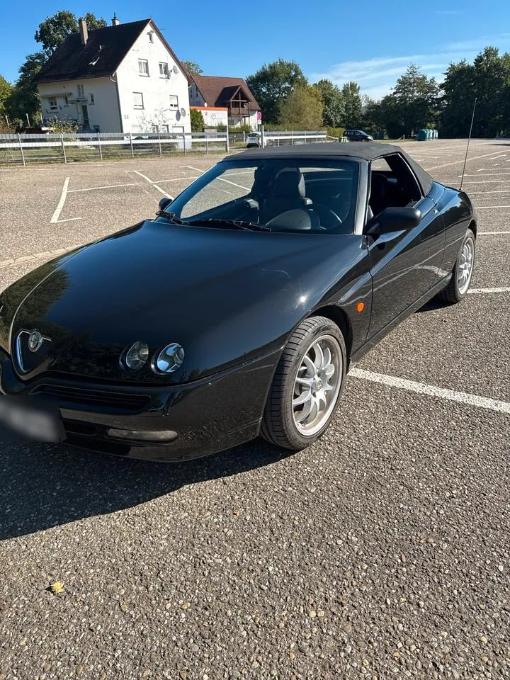 Alfa Romeo Spider