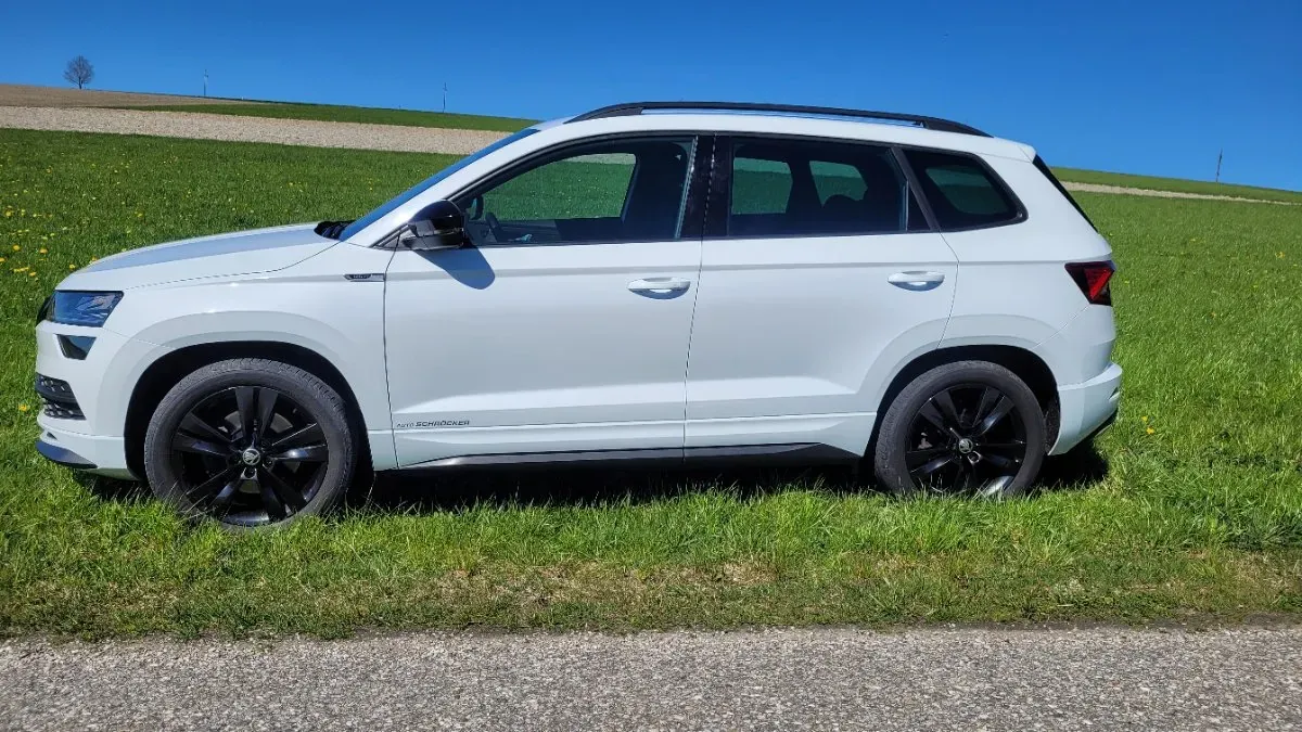 Skoda Karoq 2019 photo 2