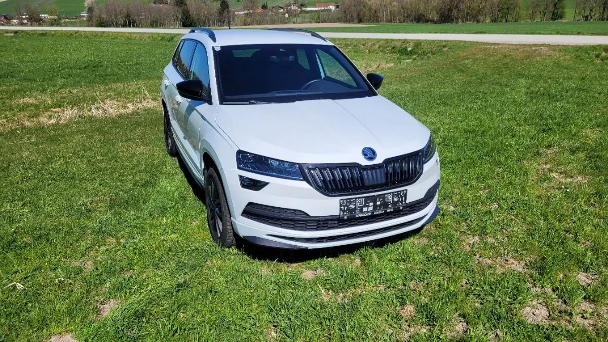 Skoda Karoq 2019 photo 3