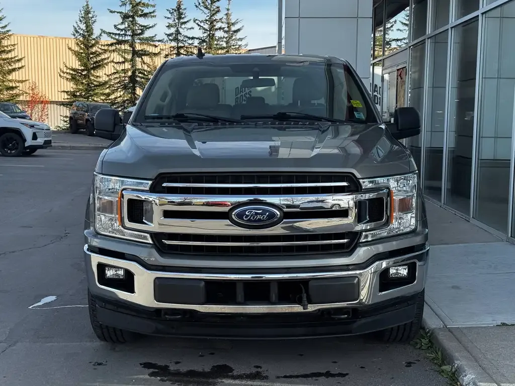 Ford F-150 2019 photo 4