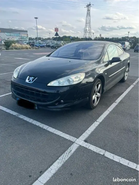 Peugeot 407