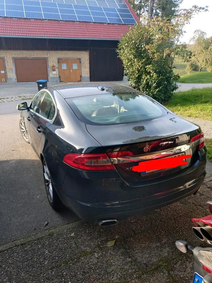 Jaguar Xf