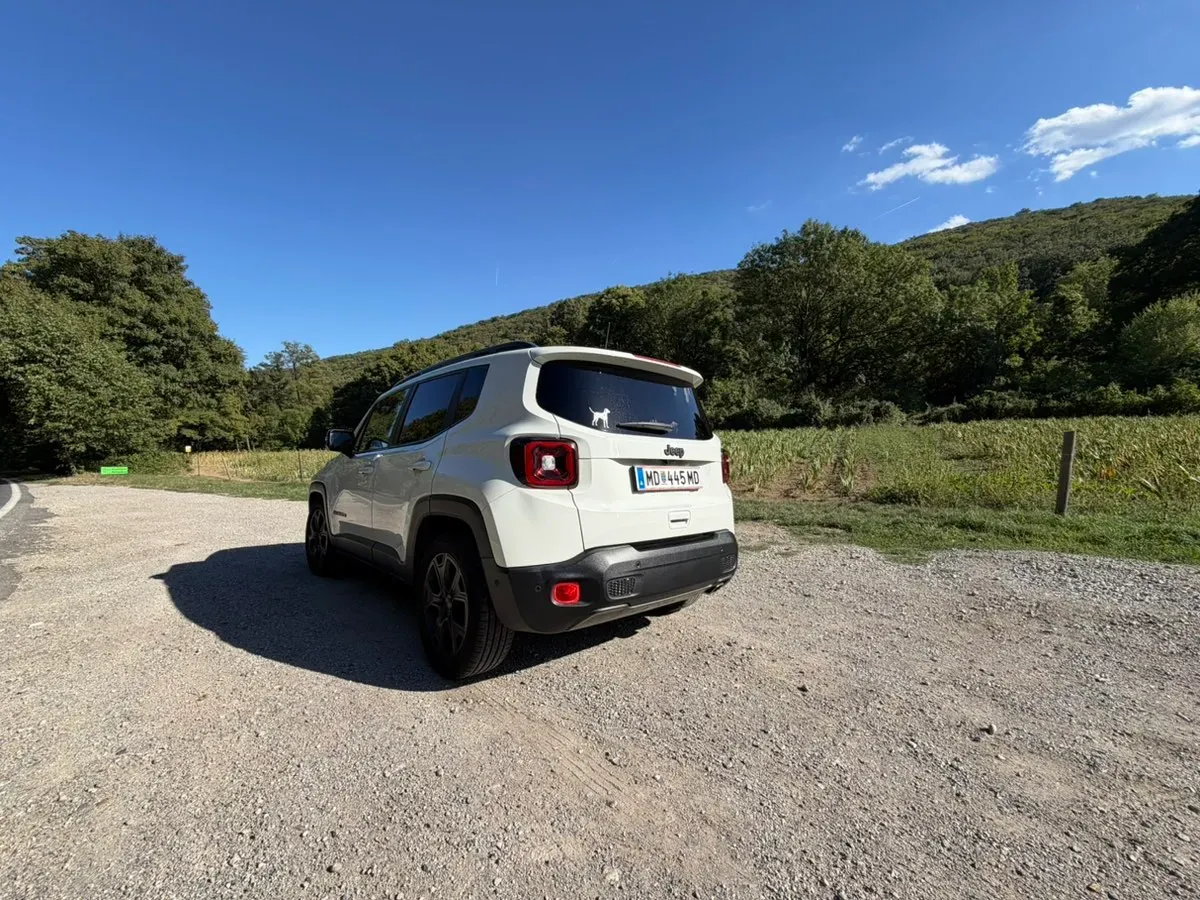 Jeep Renegade 2021 photo 3