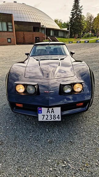 Chevrolet Corvette 1980 photo 3