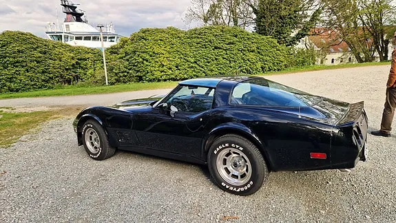 Chevrolet Corvette 1980 photo 5