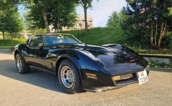 Chevrolet Corvette 1980 photo 2
