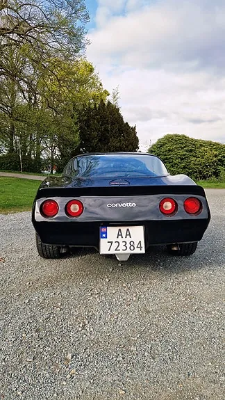 Chevrolet Corvette 1980 photo 4