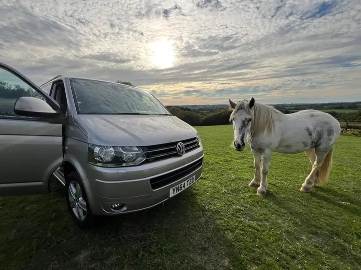 Volkswagen Caravelle 2014 photo 4