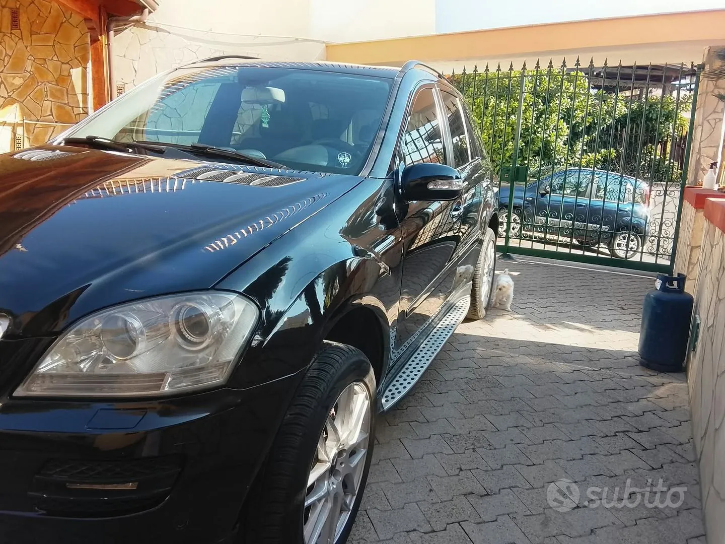 Mercedes-Benz Ml 2007 photo 5