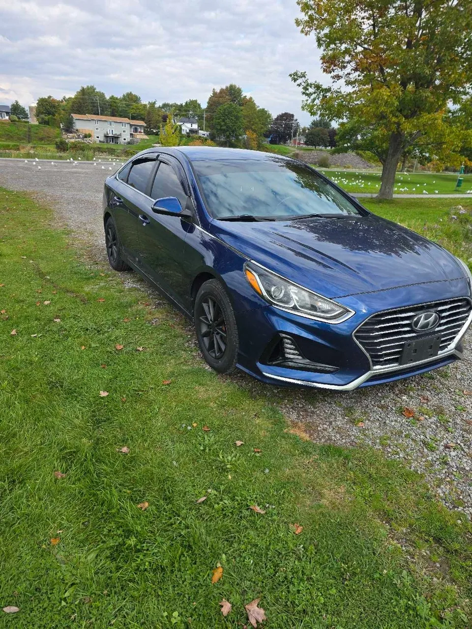 Hyundai Sonata 2018 photo 3