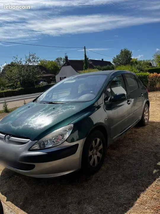 Peugeot 307
