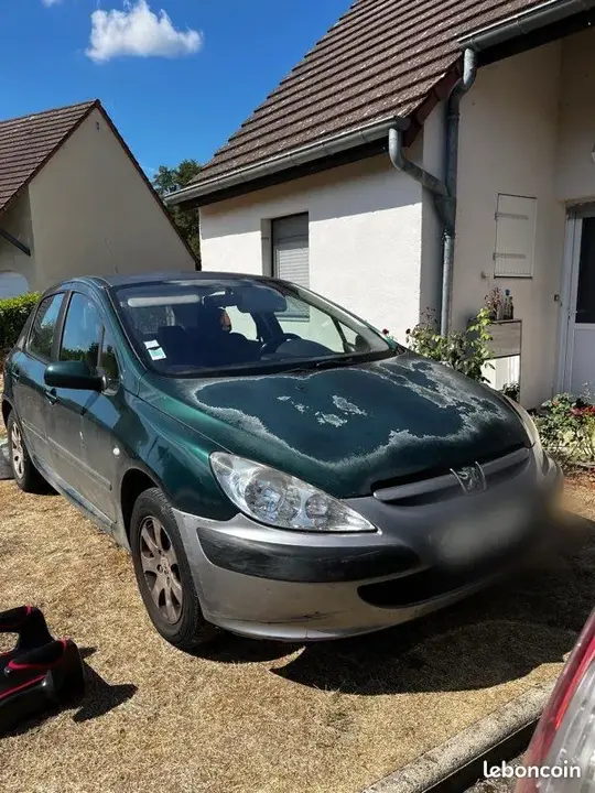 Peugeot 307 2002 photo 2