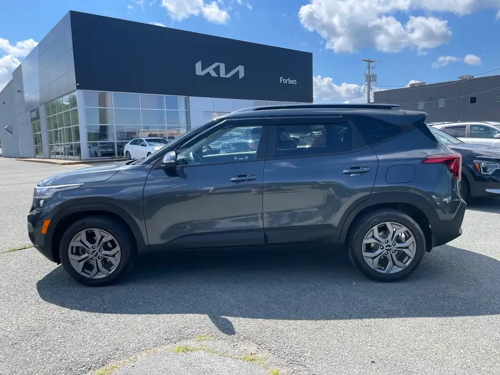 Kia Seltos 2024 photo 4