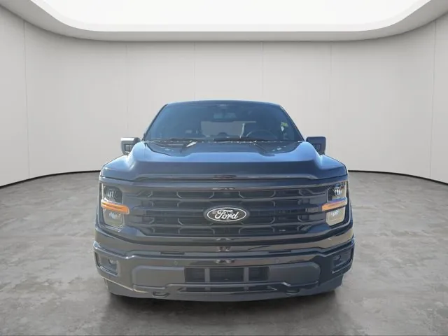Ford F-150 2024 photo 2
