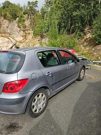 Peugeot 307 2003 photo 2