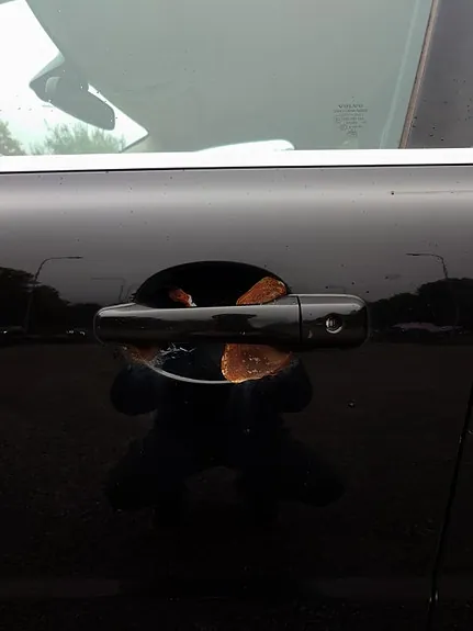 Volvo Xc70 2008 photo 4