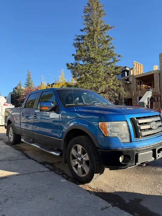 Ford F-150 2009 photo 3