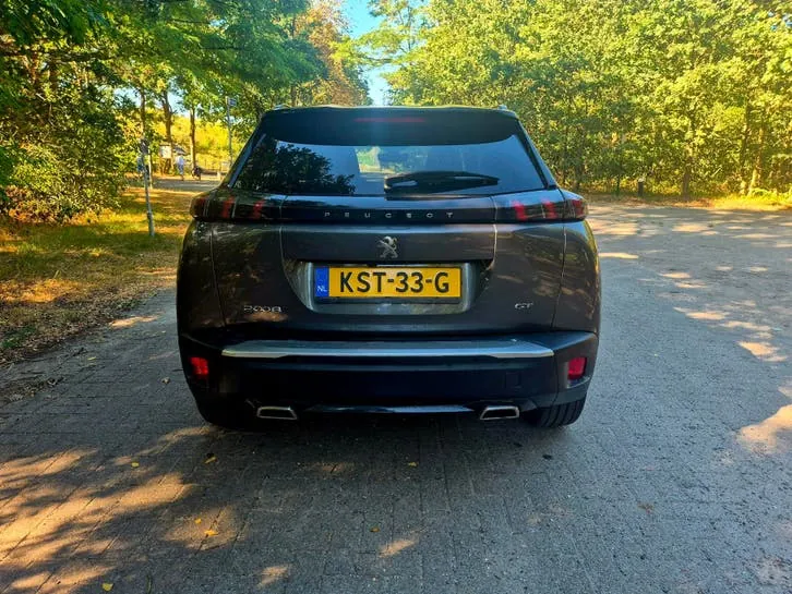 Peugeot 2008 2020 photo 3