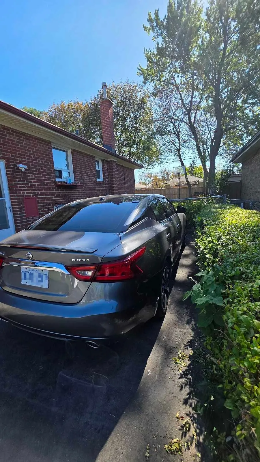 Nissan Maxima