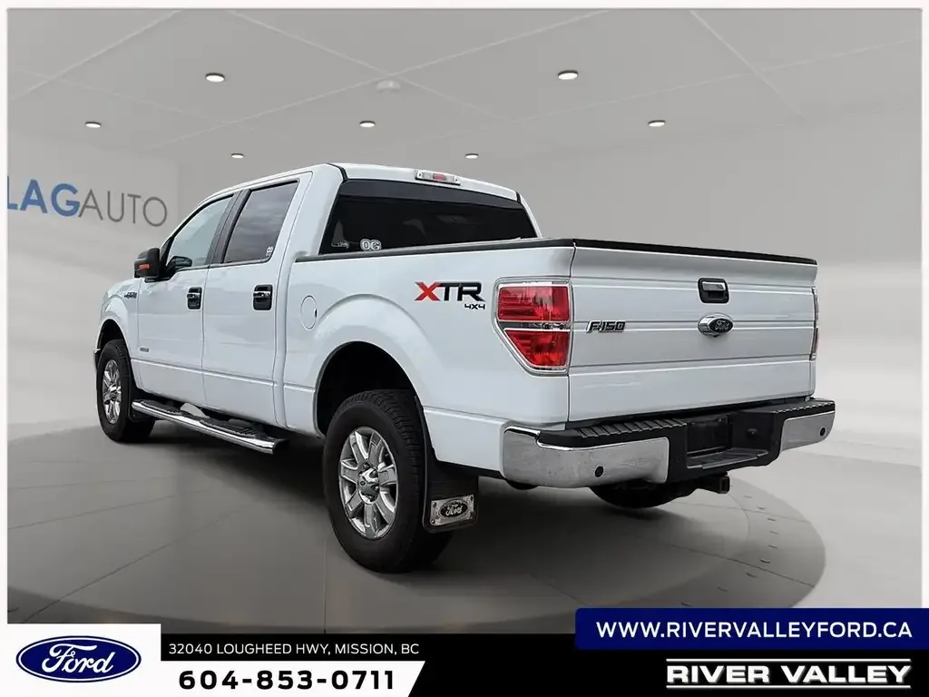 Ford F-150 2014 photo 4