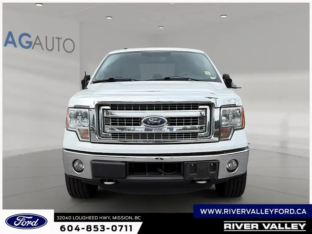 Ford F-150 2014 photo 2