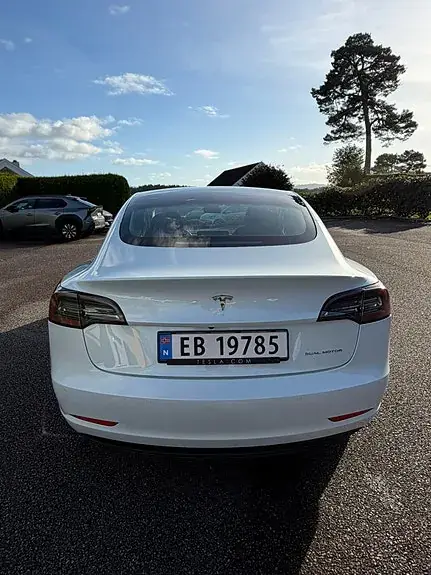 Tesla Model 3 2019 photo 2