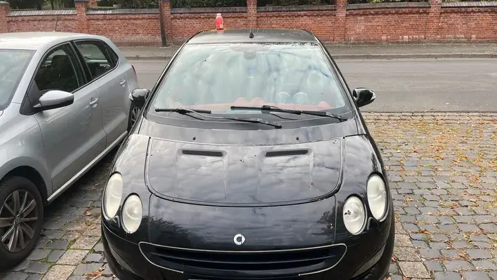 Smart For Four