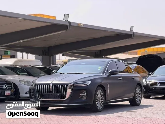 Hongqi Ousado 2024 photo 2