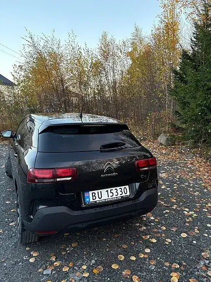Citroen C4 Cactus 2020 photo 2