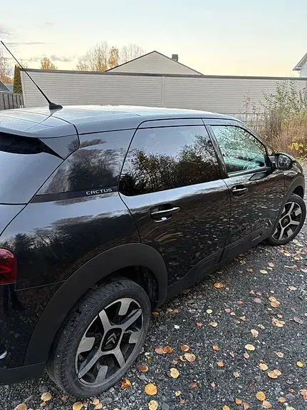 Citroen C4 Cactus 2020 photo 5