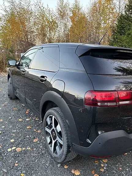 Citroen C4 Cactus 2020 photo 4