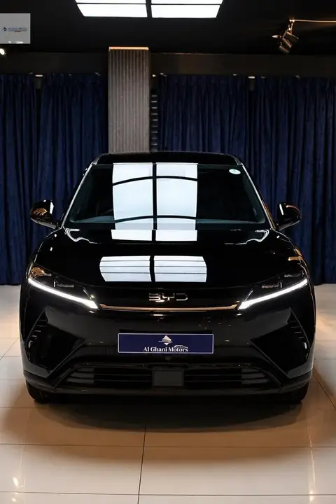 BYD Atto 2